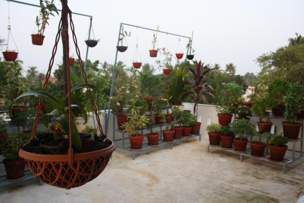 Aaron'S Homestay Kochi Exterior photo